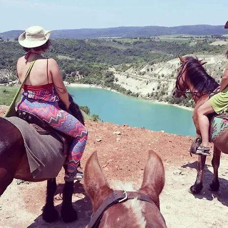 Brvnara Beli Kamen 1